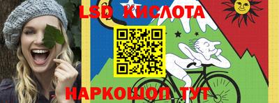 индика Гатчина