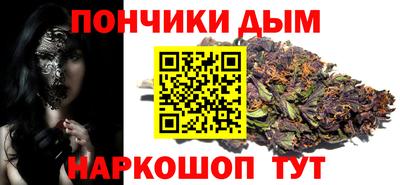 индика Гатчина