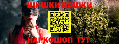 индика Гатчина