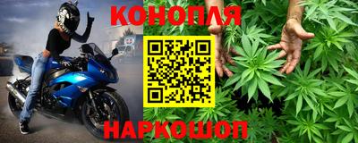 индика Гатчина