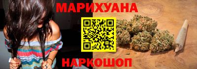 индика Гатчина