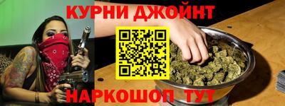 индика Гатчина