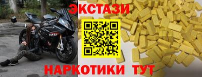 индика Гатчина