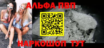 индика Гатчина