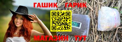 индика Гатчина